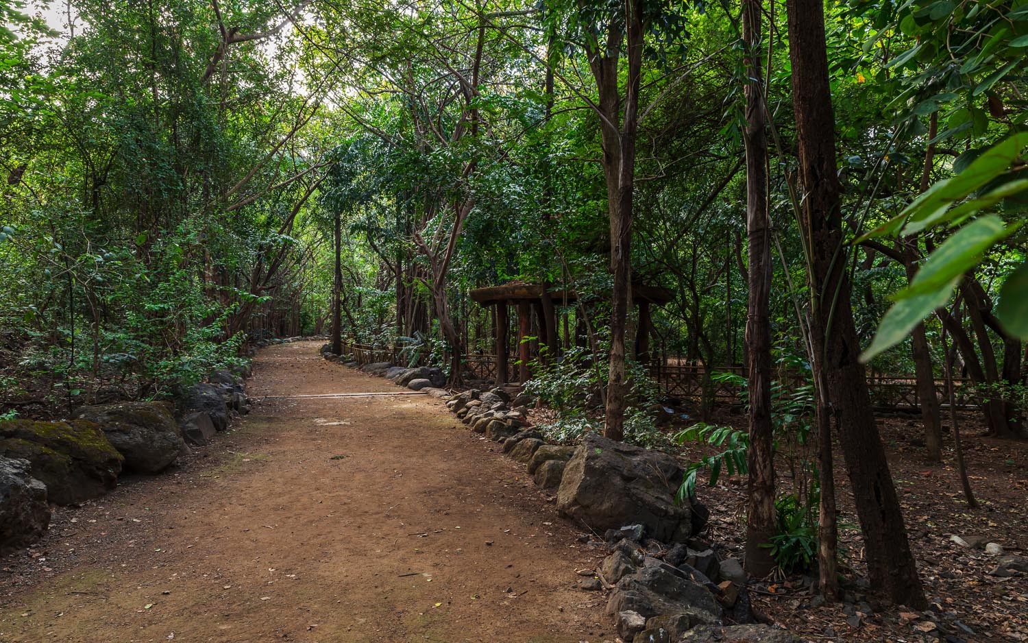 hiranandani-gardens-powai-forest-park-landscape-architecture-photography-2