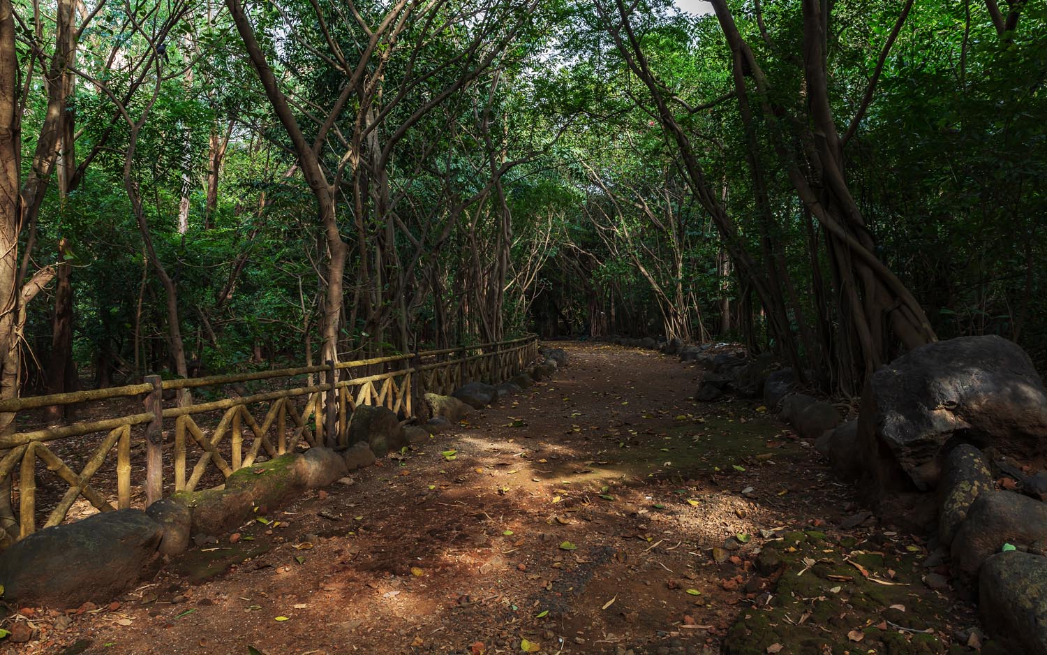 hiranandani-gardens-powai-forest-park-landscape-architecture-photography-3