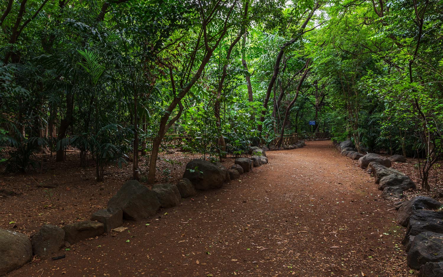 hiranandani-gardens-powai-forest-park-landscape-architecture-photography-8